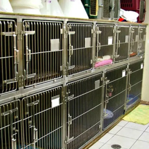 Tiny Dog Ward Cages
